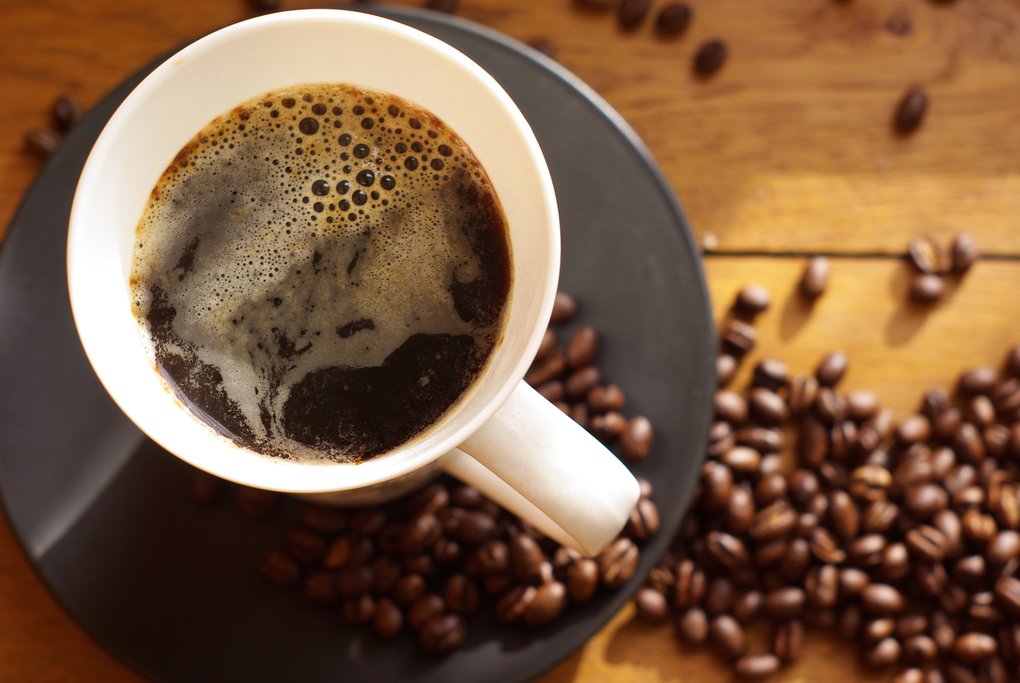 Today, you'll learn about the process of harvesting coffee