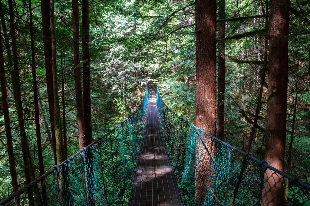 Suspension bridge on the Juan de Fuca Trail near Mystic Beach