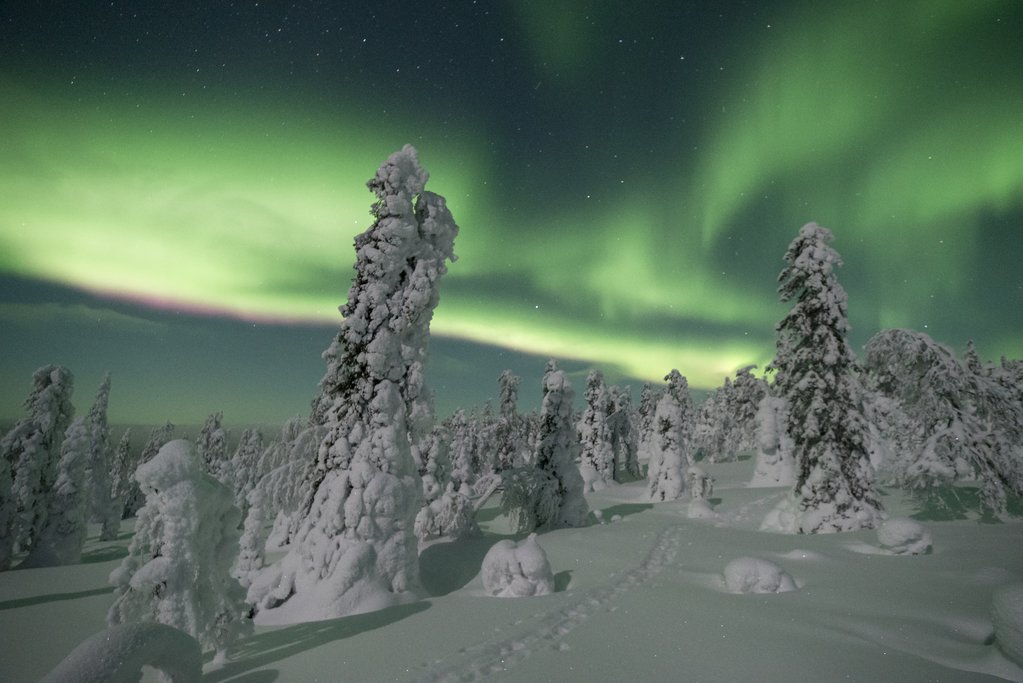 Northern Lights Tour