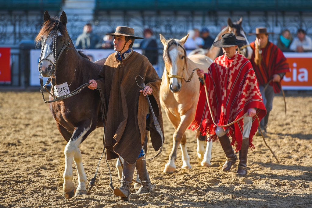 Argentinian gauchos in colorful garb