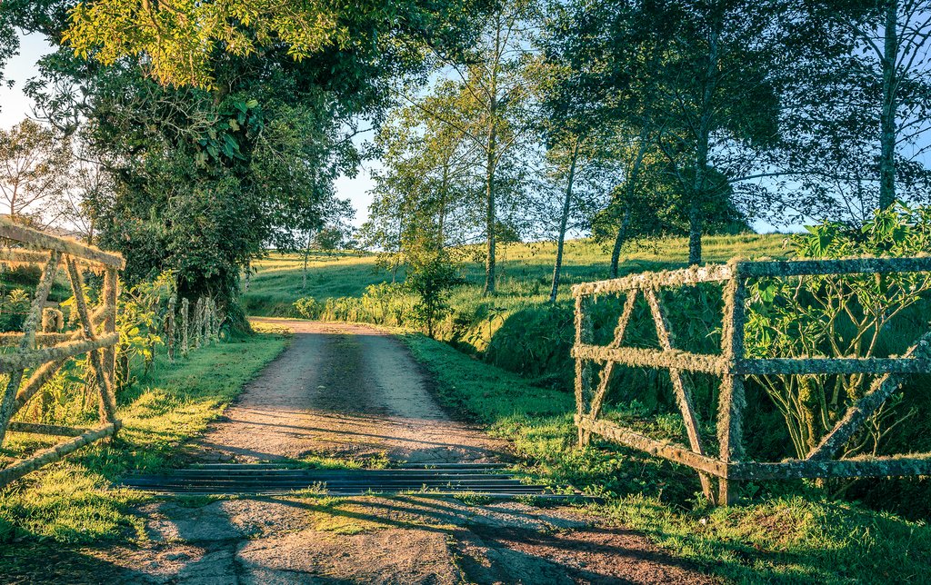 Spend a day on the farm
