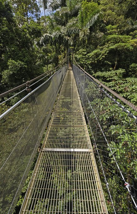 The hanging bridges at Mistico afford breathtaking views of Arenal and an astounding array of wildlife