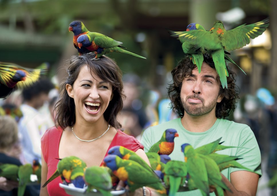 Currumbin Wildlife Sanctuary