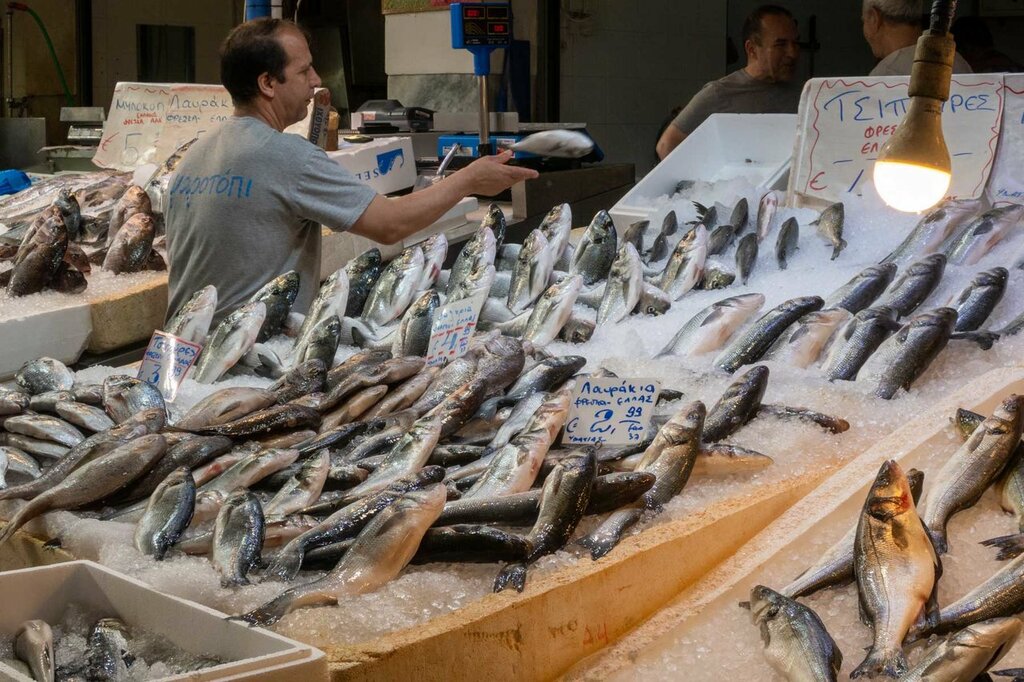 Fish market