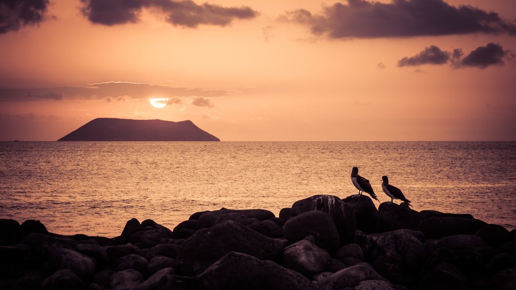 Sunset view on Daphne Island