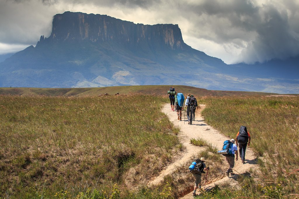 Trek through the sunny Venezuelan savannah today