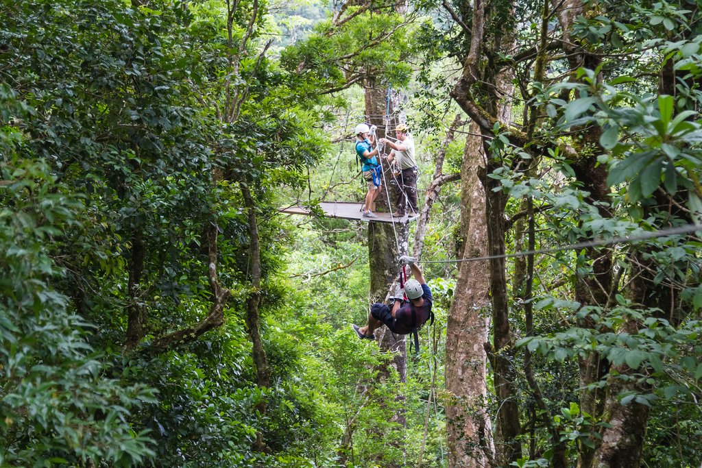 Zip-lining through the rainforest is an adventure you'll never forget