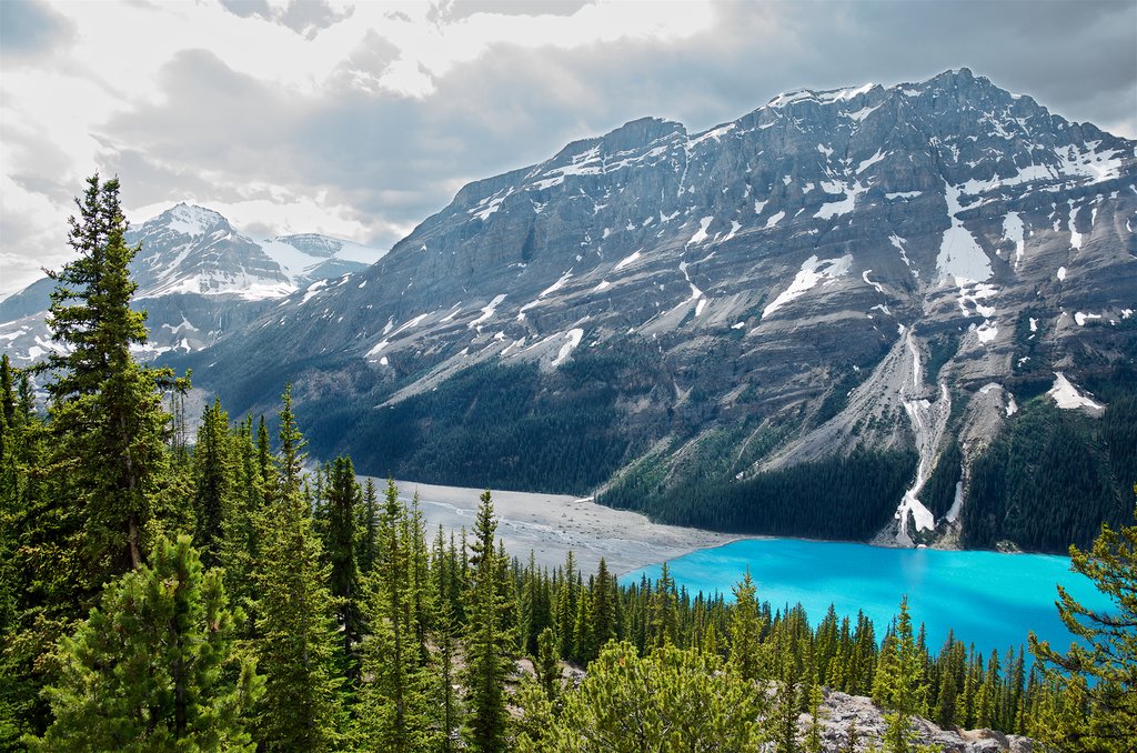 Peyto lake, Banff National Park