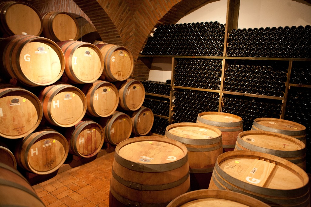 Tour wineries in Mendoza