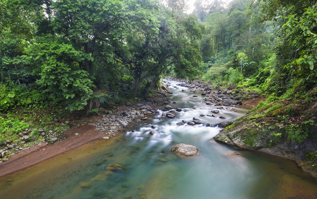 Take a canoe to Yorkin
