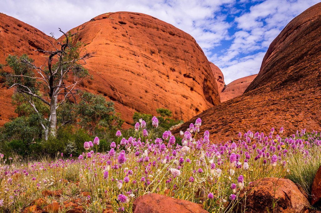 Uluru
