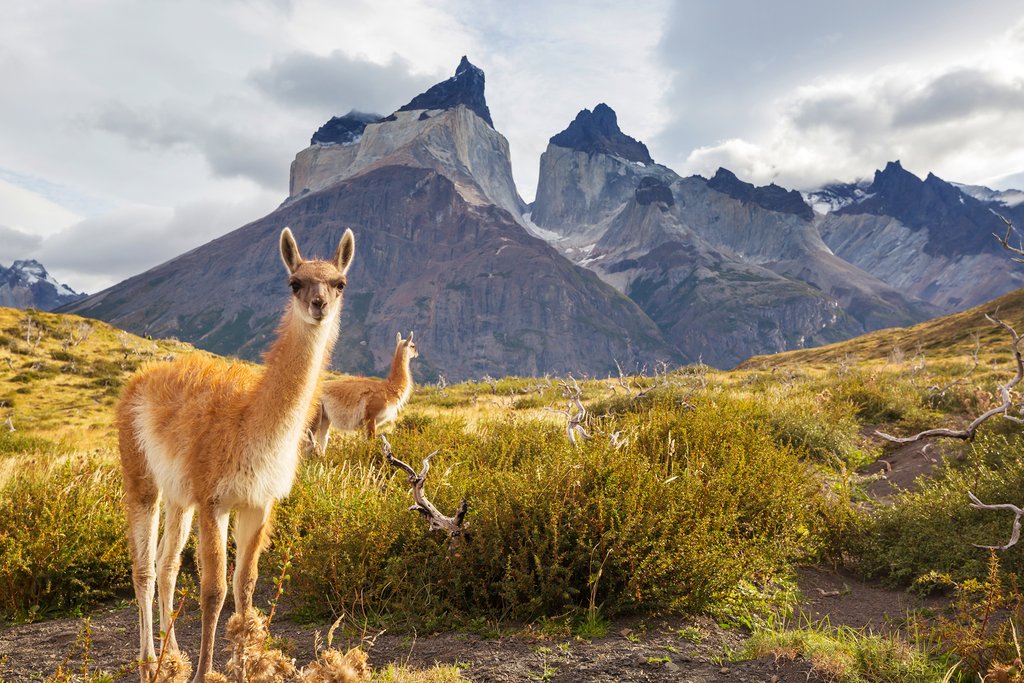 Los Cuernos