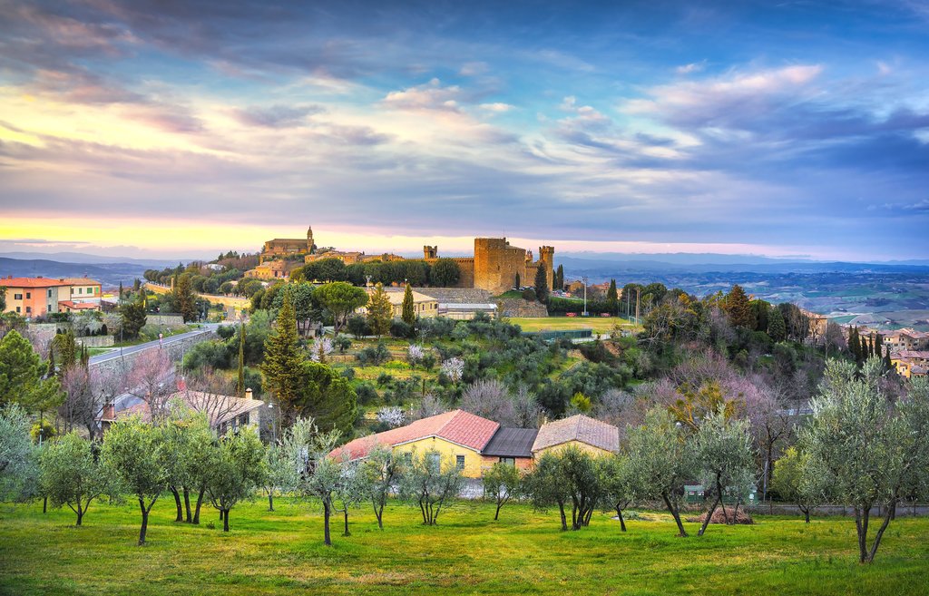 View across olive groves to Montalcino.
