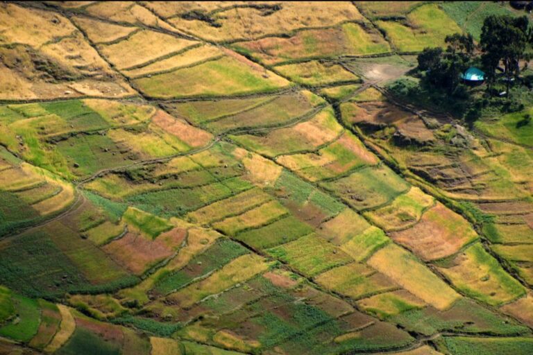 Trekking in the Simien Mountains and around Lalibela - 9-Day Itinerary