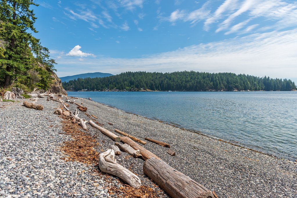 Driftwood-strewn beaches of the Sunshine Coast