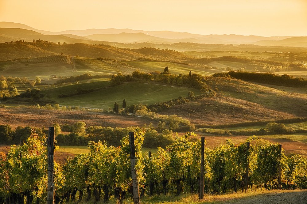 Val D'Orcia wine tour