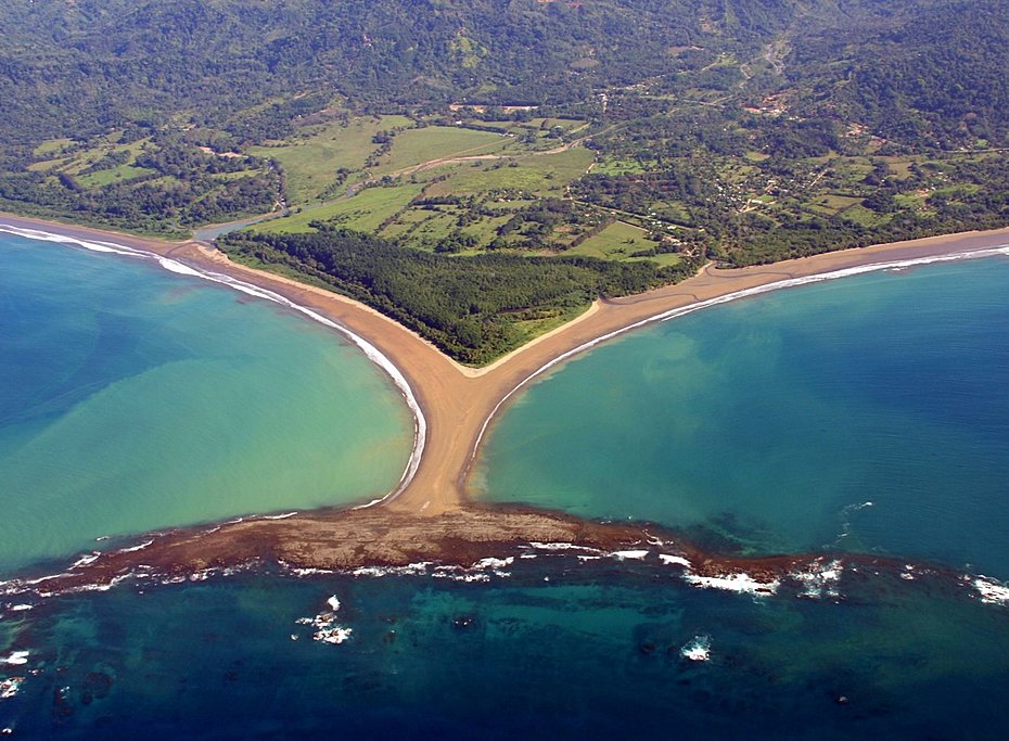 Whale Tail, Marino Ballena National Park