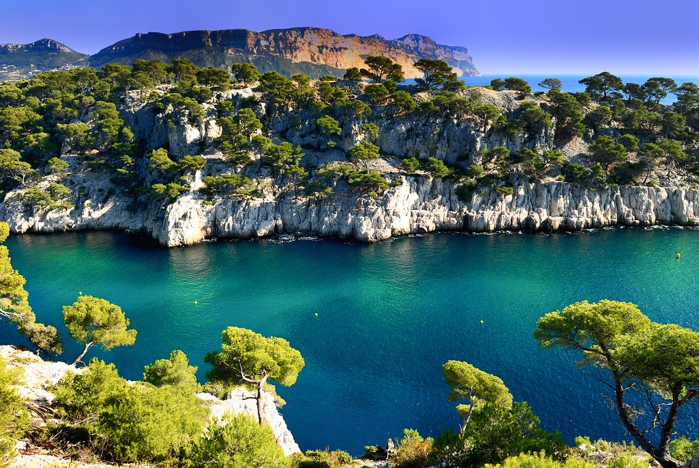 Port Pin in Cassis