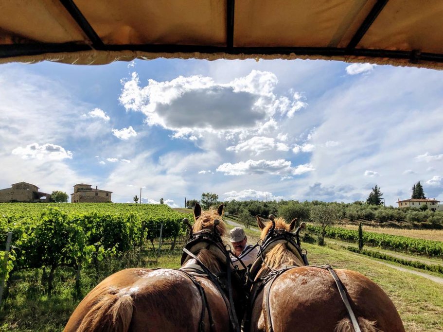 Enjoy a Wagon Ride with the Horses