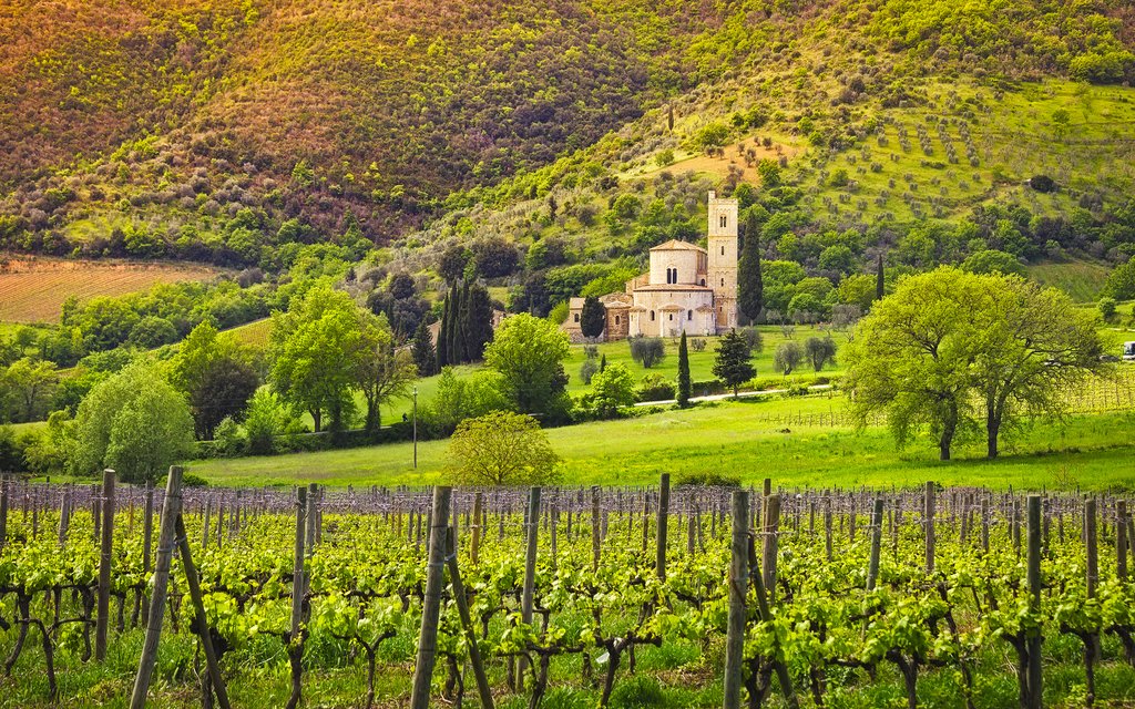 View across vineyards to the Sant'Antimo Abbey near Montalcino.