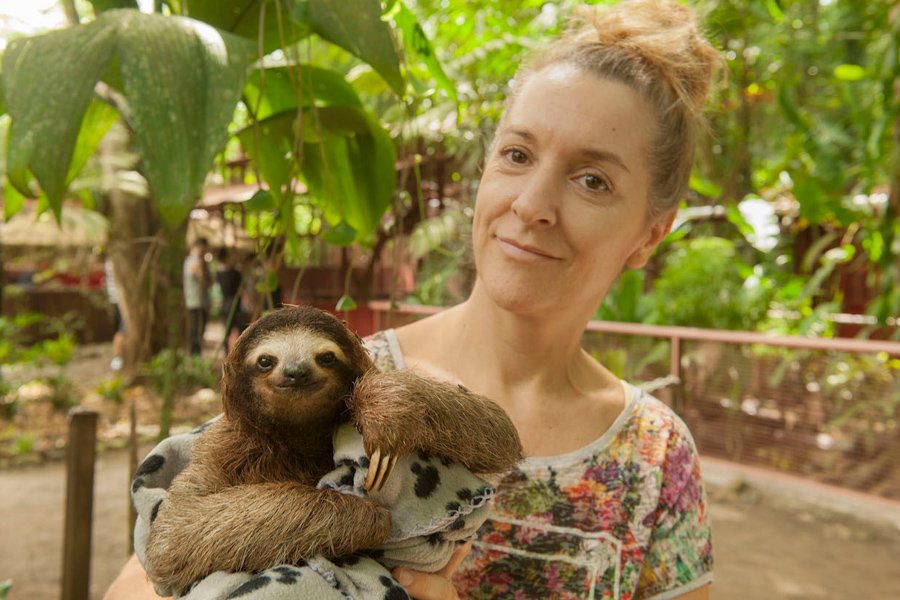 Baby sloth at The Jaguar Rescue Center