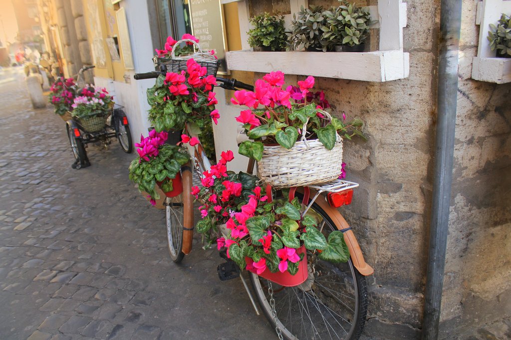 Little details of life in Rome