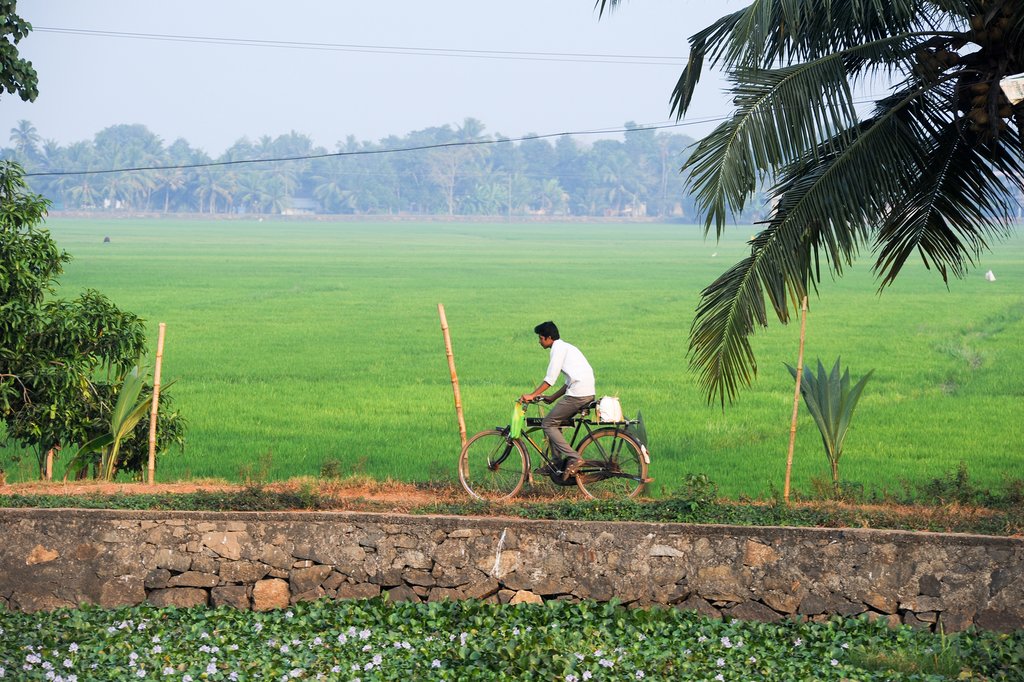 Cyclist near Alleppey
