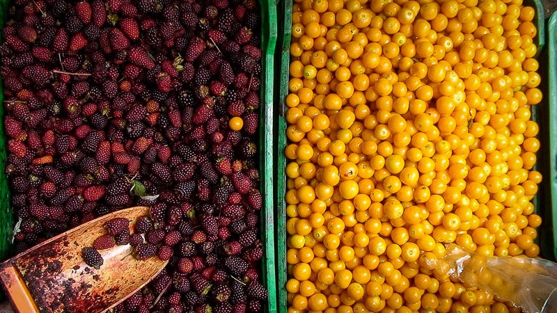 Paloquemao fruits