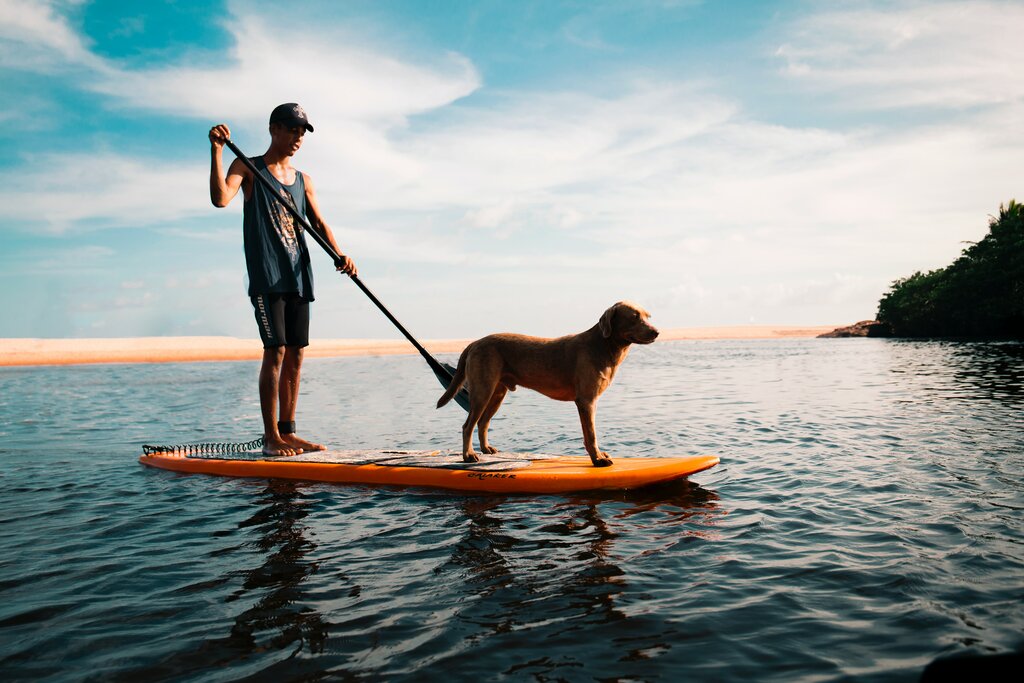 Test your balance on the water