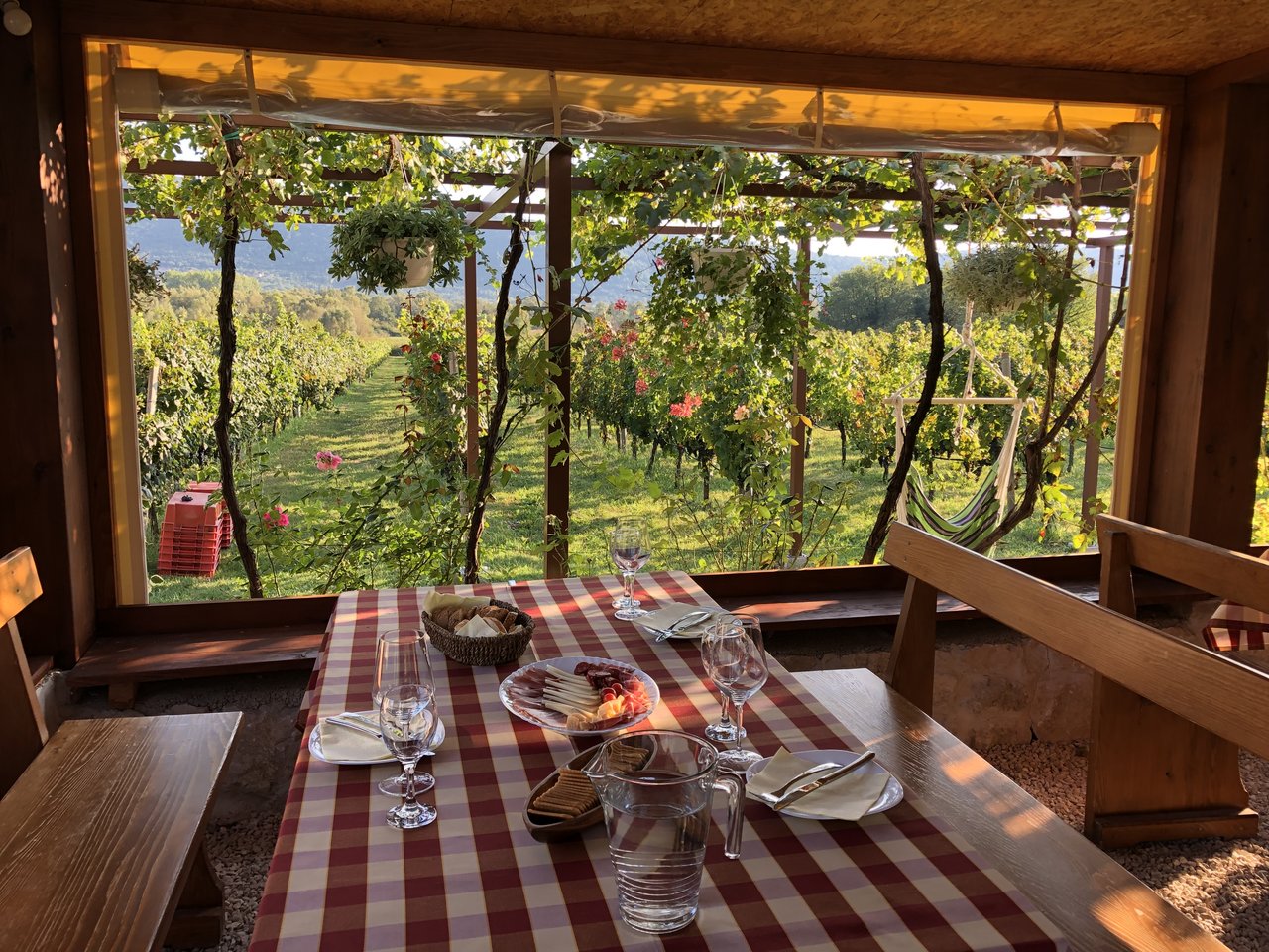 Konavle wine region, Photo taken by Kay M