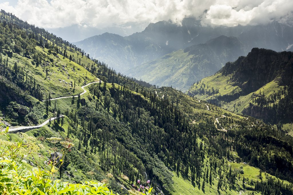 Enjoy the changing landscapes on the journey from Pragpur to Shimla