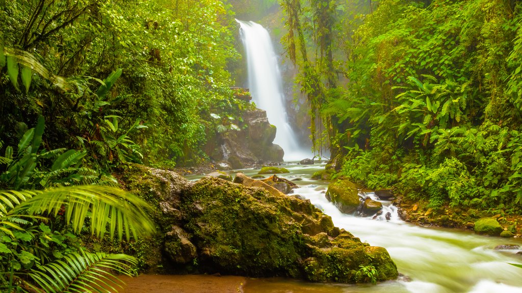 Enjoy a waterfall hike