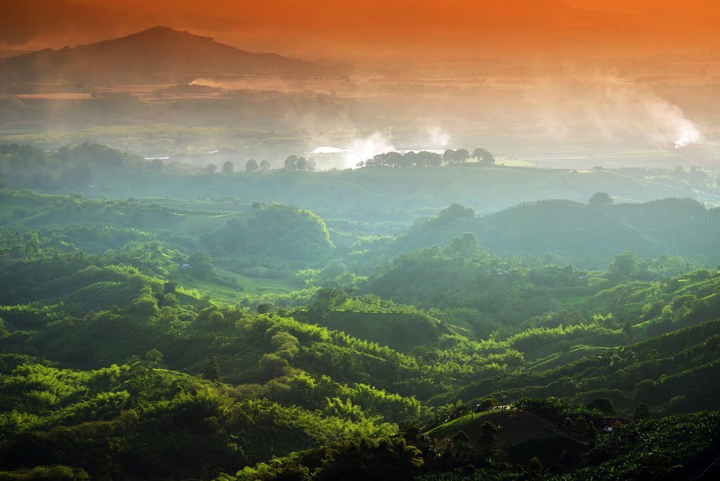 Coffee and banana plantations at sunset near Buenavista, Colombia