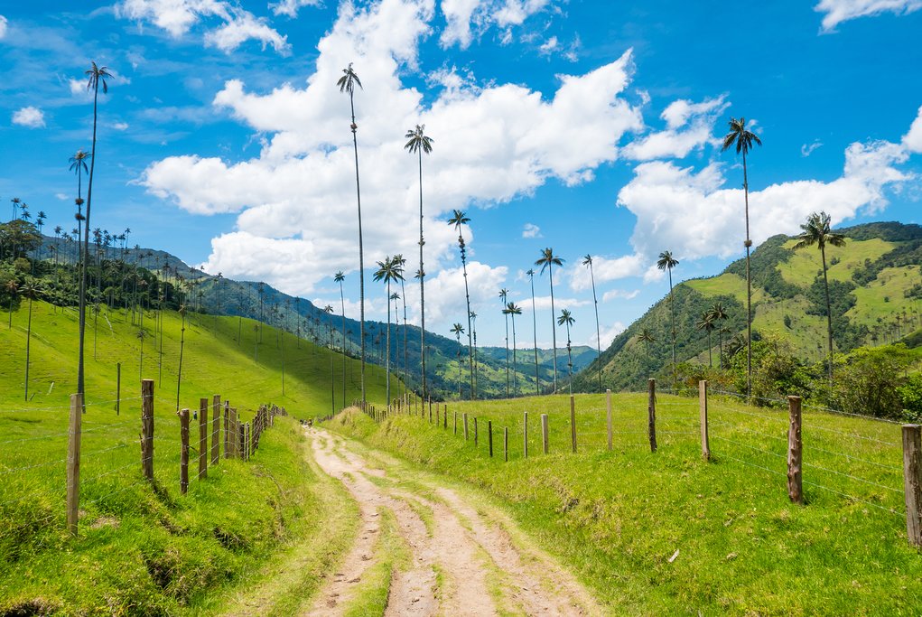 Unpaved road in the Cocora Valley