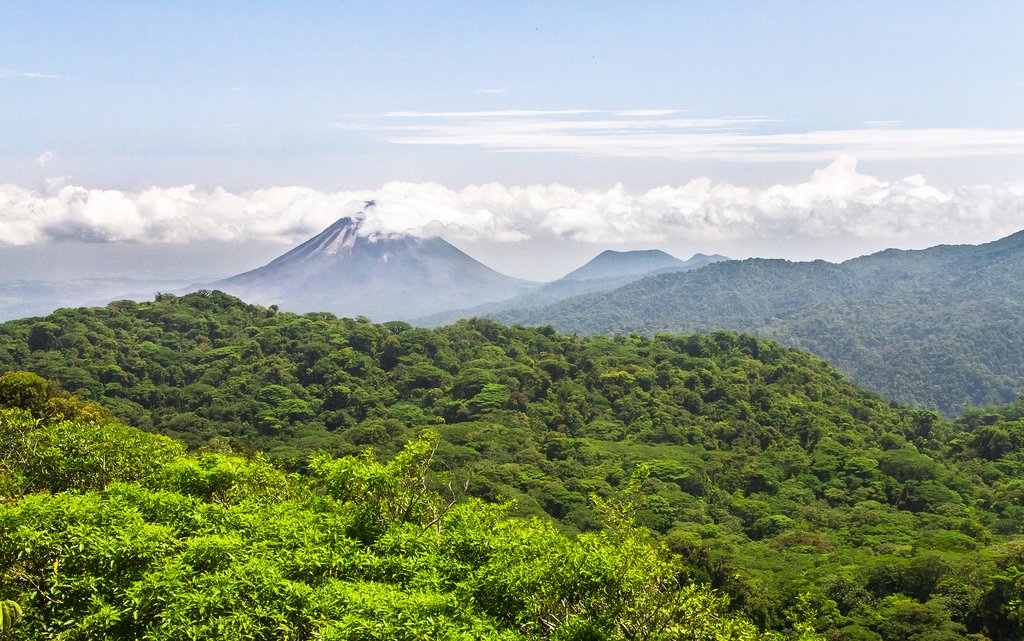 Jungle canopy near Arenal