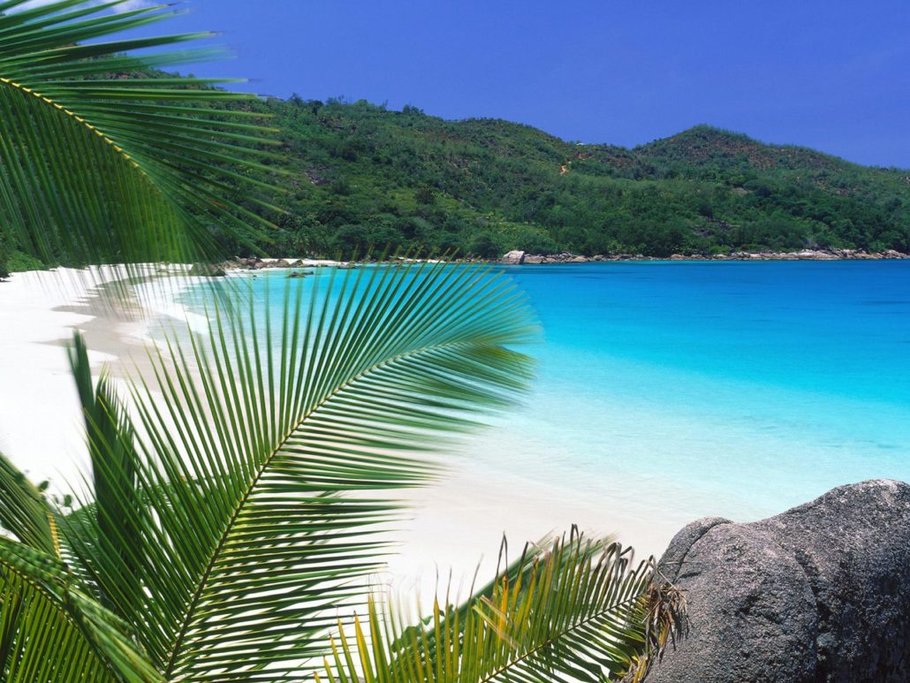 Enjoy your free day in Nosara