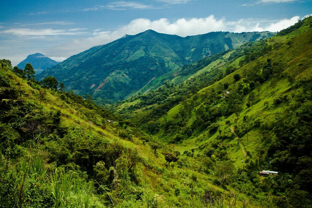 Full Day trip to Nature Reserve Cerro Bravo