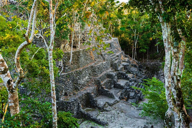 Mirador