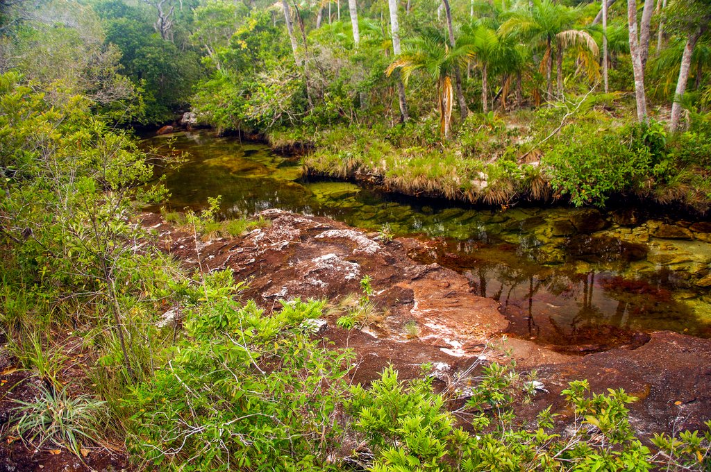 Nature around Villavicencio