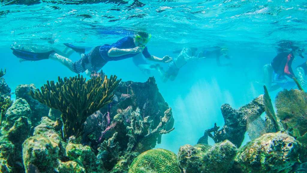 Glover's Reef is home to more than 700 snorkeling sites
