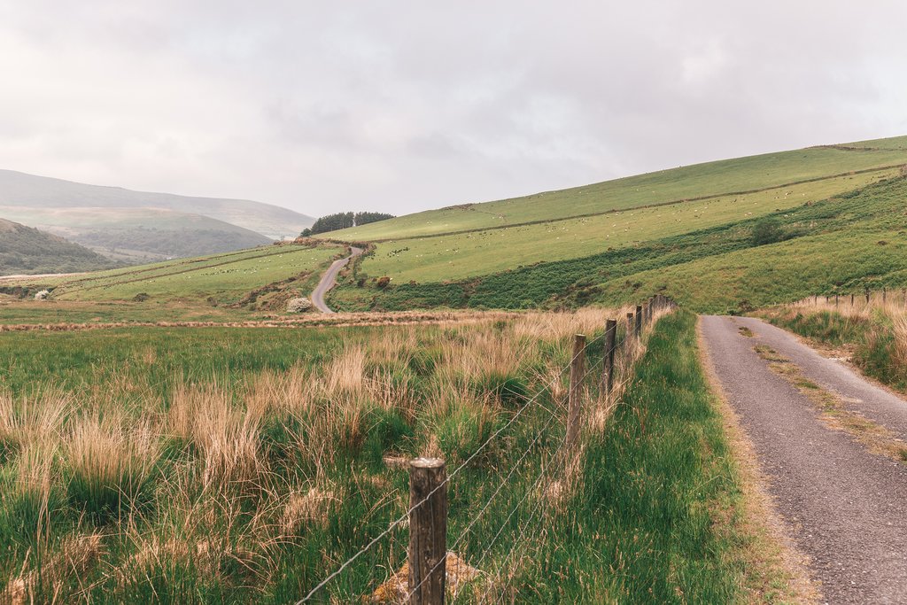 Along the hills