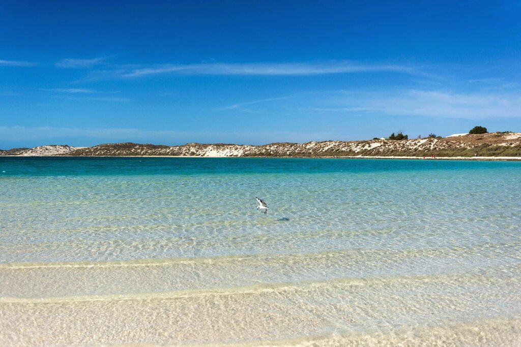 Coral Bay