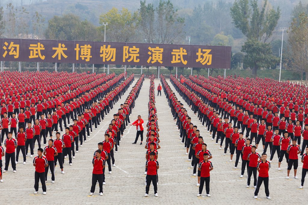 Shaolin Kung Fu Academy