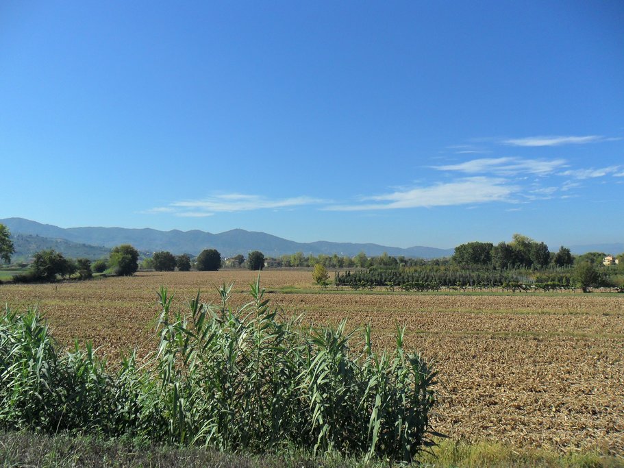 Chianti region