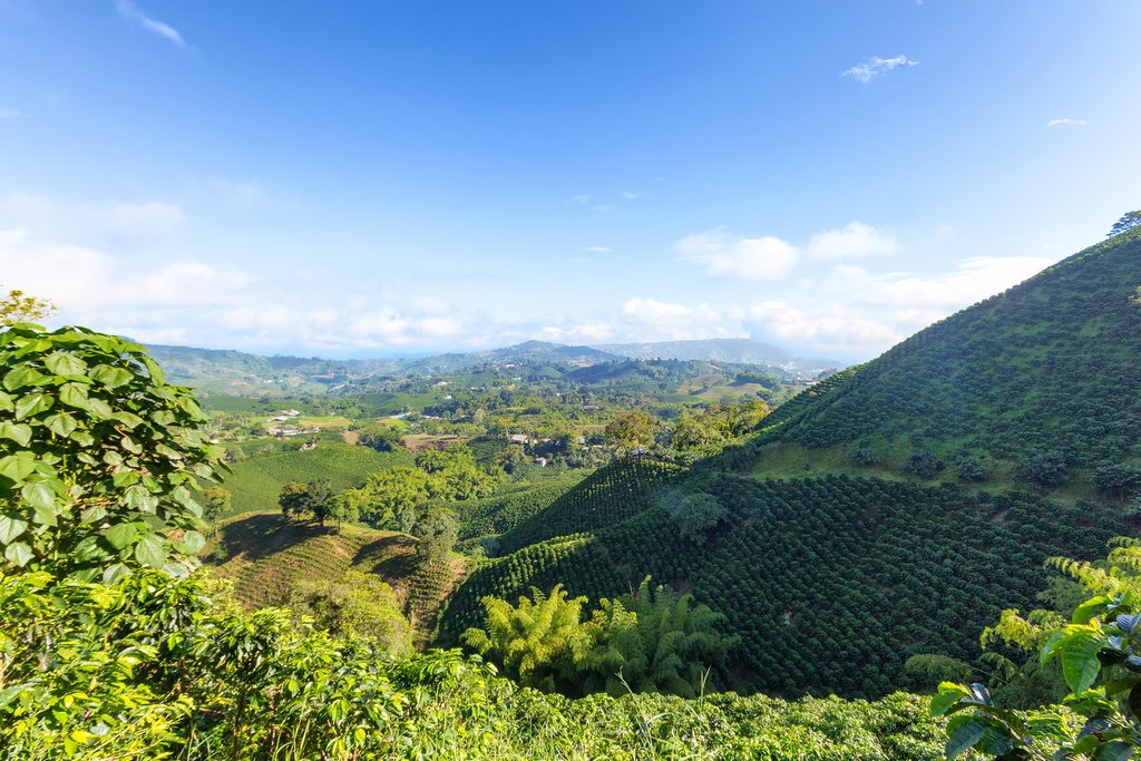 Enjoy the scenic drive to the Pacuare River
