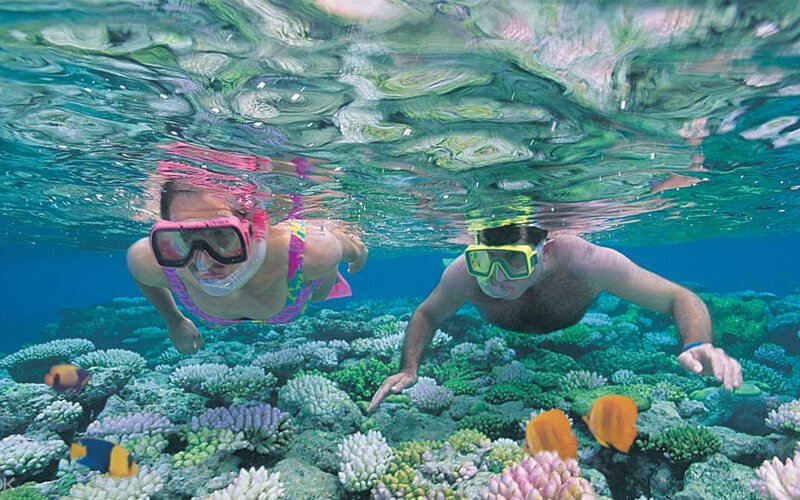 Go snorkeling on the southern Gili islands off Lombok