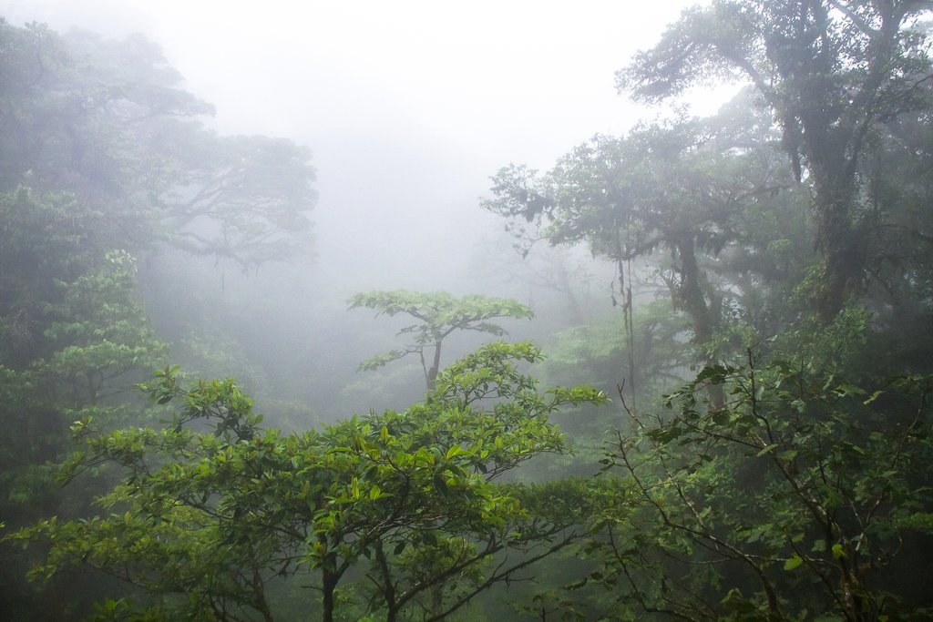 Monteverde has a cloud-forest eco-system