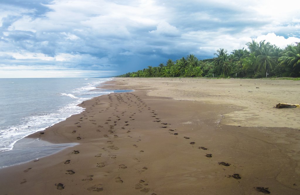 A quiet beach in Tortuguero National Park