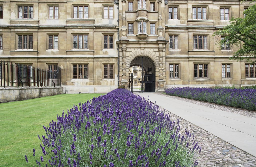 College forecourt