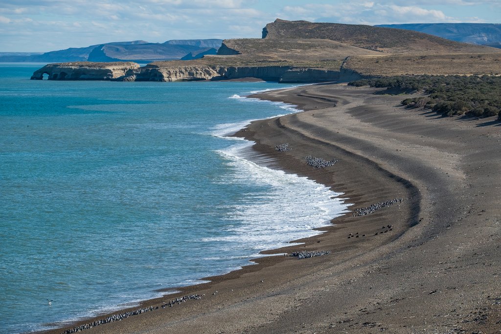 Coast of the Atlantic ocean with groups of penguins on it in Park Monte Leon, Argentina